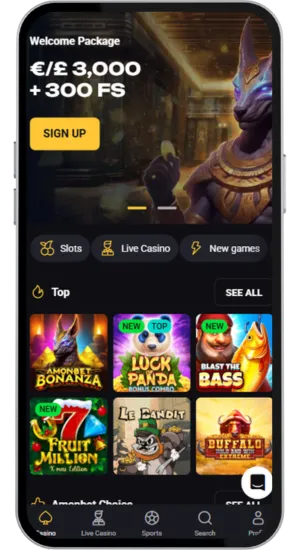 Visit the official casino site